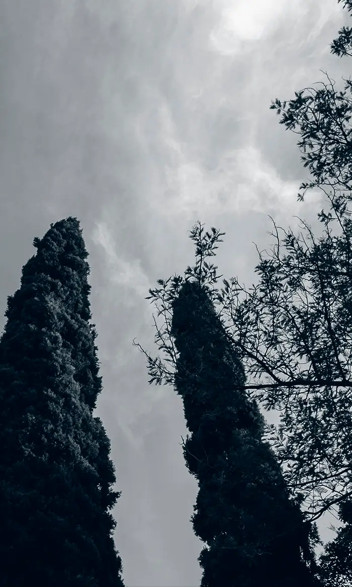 imagen 02 via vitae Acompañamiento psicológico especializado en procesos de duelo